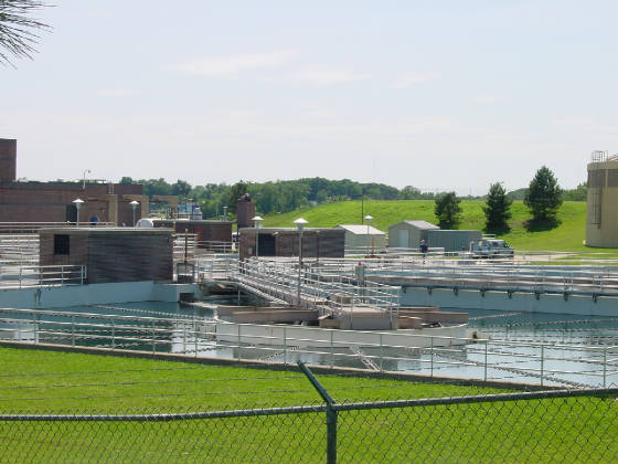 dsc00008.jpg